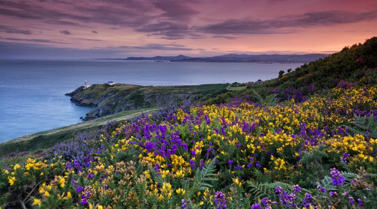 The Irish Coastline