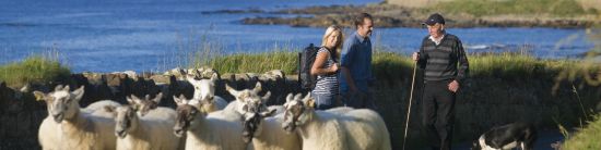 Ireland Travel Guide Cover Image