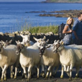 The Beara Peninsula, South West Ireland