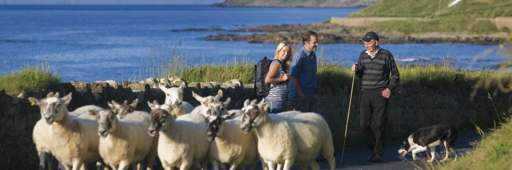 Tourists in Ireland chatting to an Irish farmer