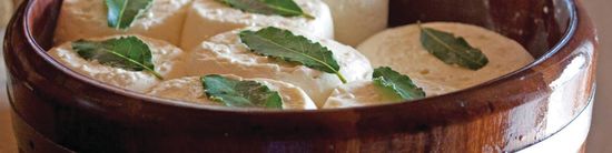 Mozzarella cheese at Irish farmers markets