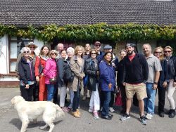 Group tour of Ireland!