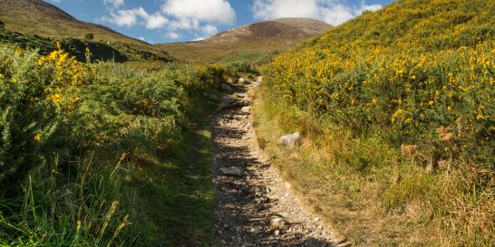 Lough Muskry, South West Ireland