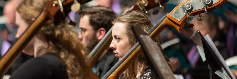 Orchestra performing in Ireland