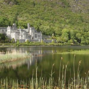 Deluxe Castle Tour of Ireland