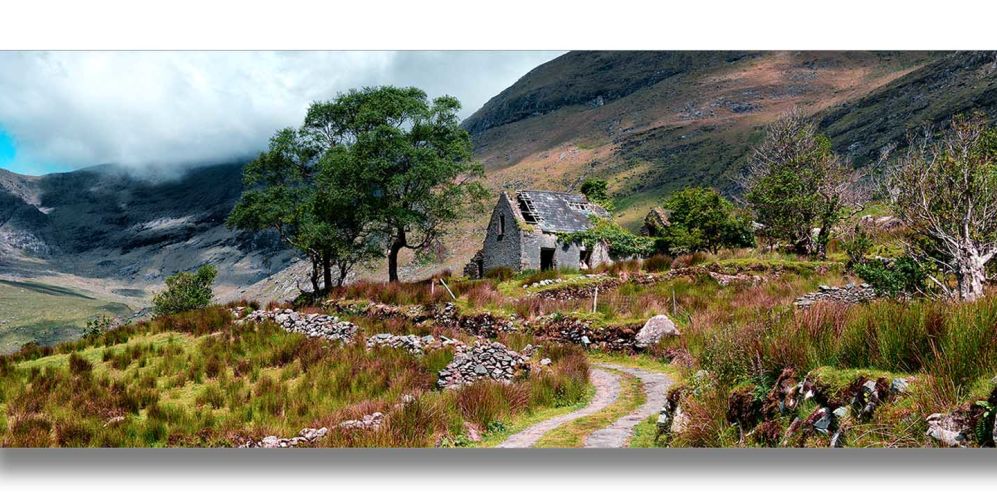 Country Lane photo by Patrick Donald