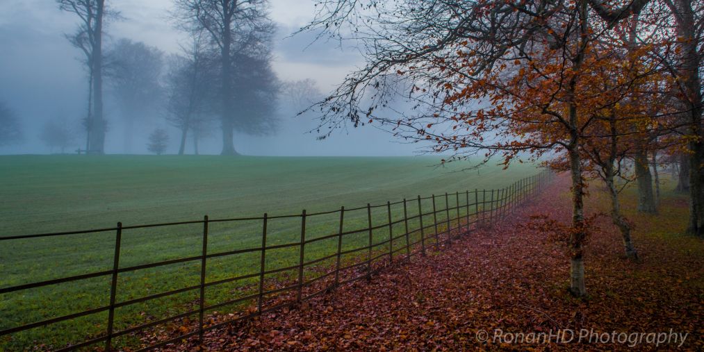 Winter is Coming by Irish Photographer Ronan Harding Downes