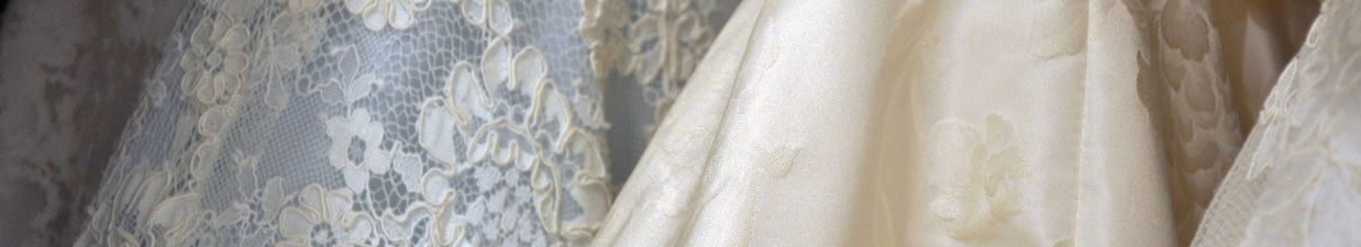 Pig on Causey Farm, County Meath