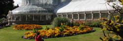 Royal Botanic Gardens, Belfast City