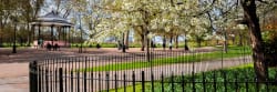 Hyde Park in London City