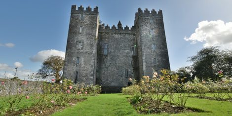 The keep of Bunratty Castle standing above the green lawns of the estate in County Clare