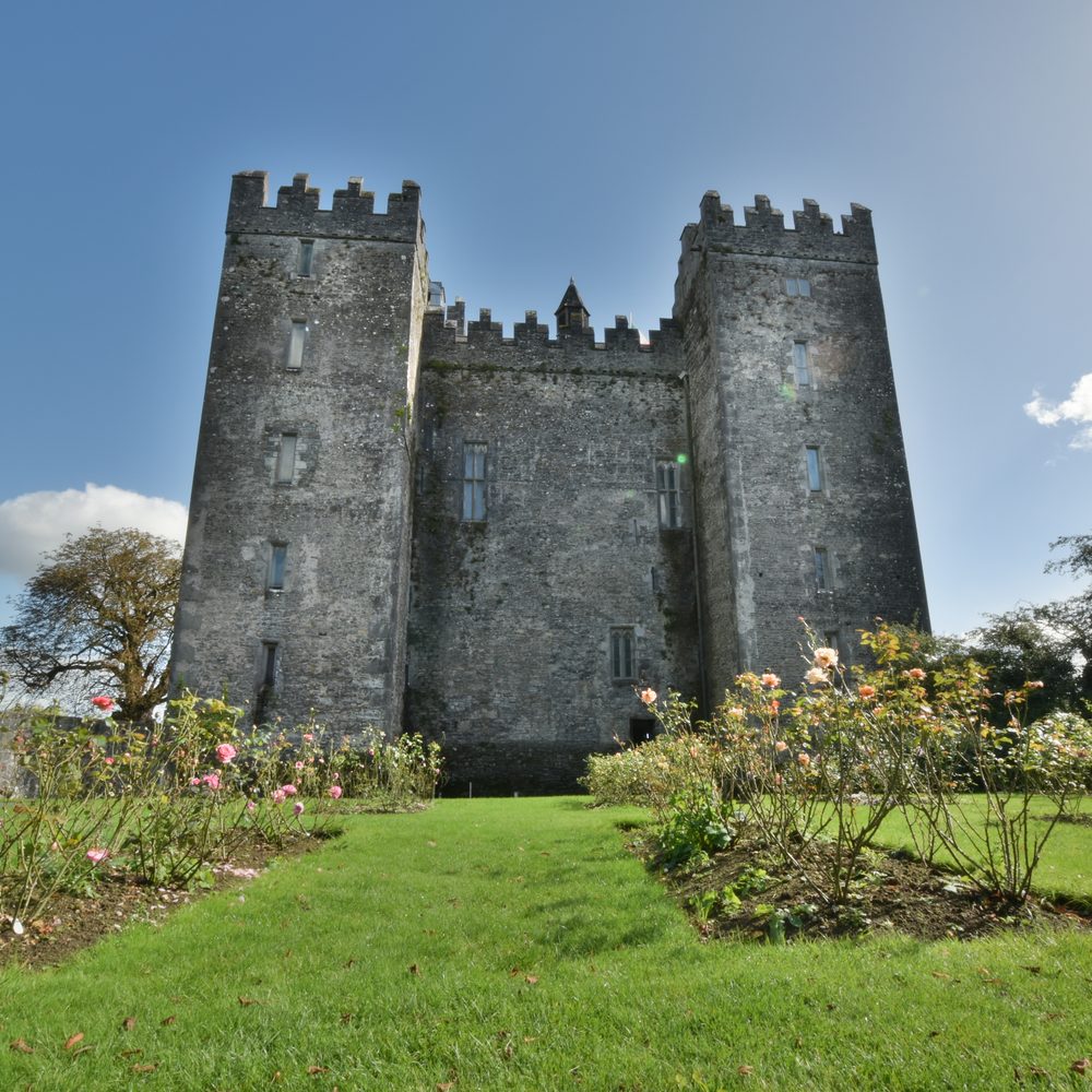 The keep of Bunratty Castle standing above the green lawns of the estate in County Clare