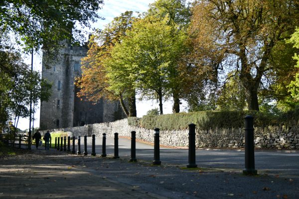 Bunratty Castle rising behind the trees, with the road into the village in front