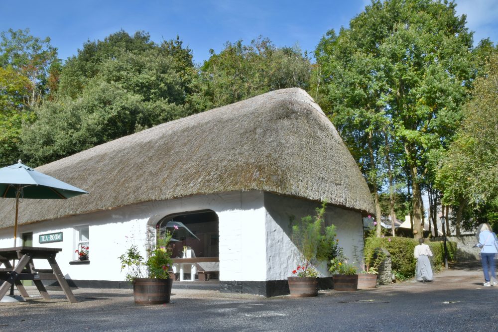 A whitewashed thatched cottage in the folk park village