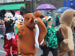 Saint Patrick's Day, Ballincollig, County Cork