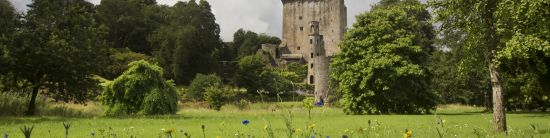 Blarney Castle in Ireland