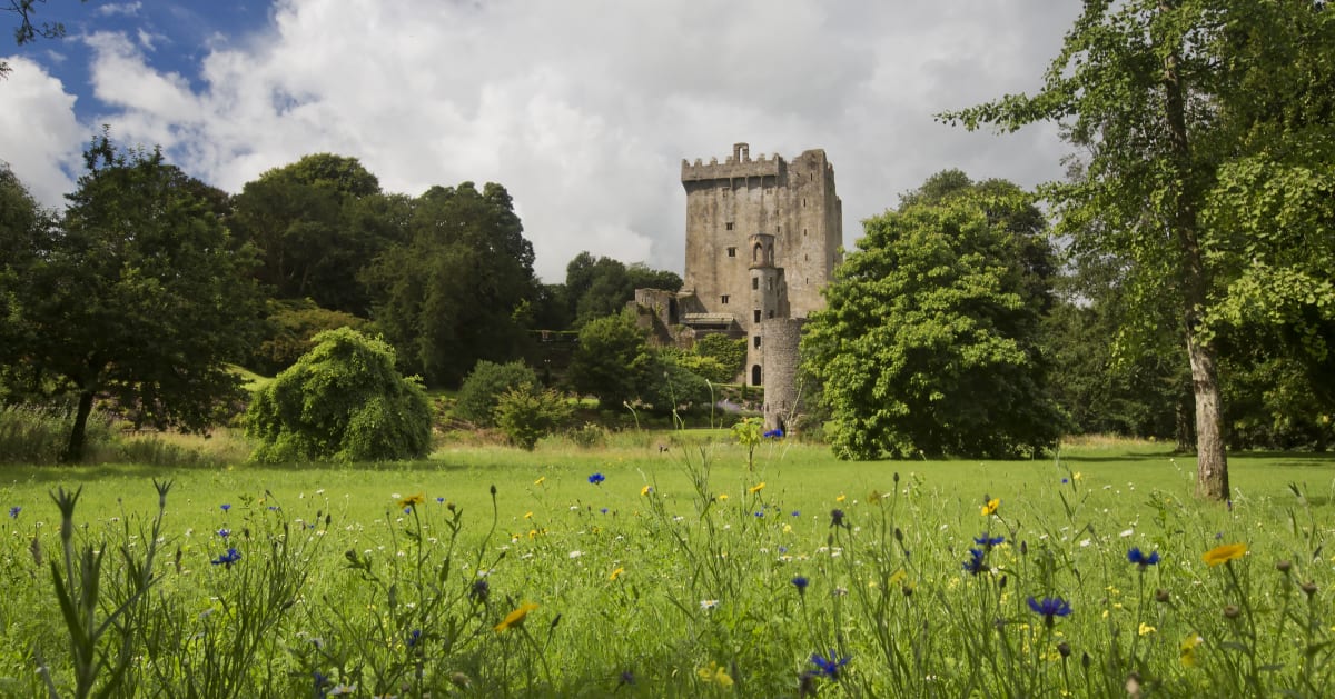 My Ireland Tour Reviews