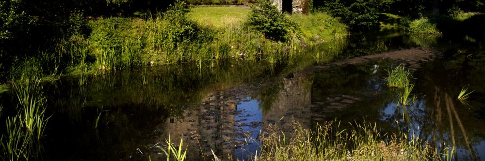 Blarney Castle, County Cork