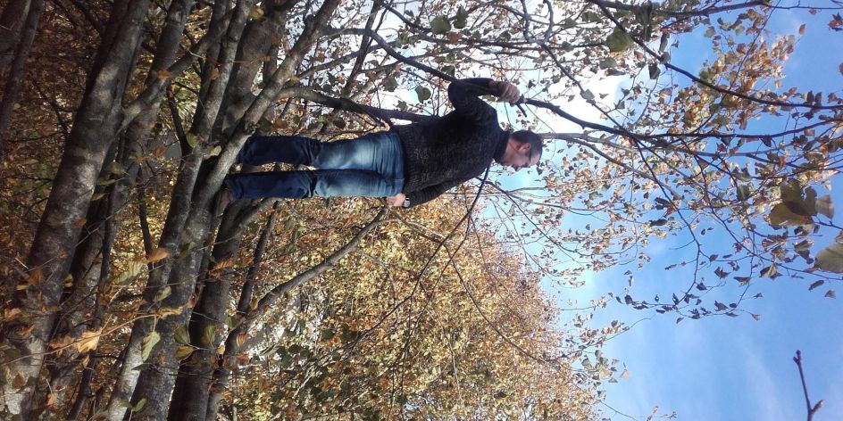 Surveying the damage