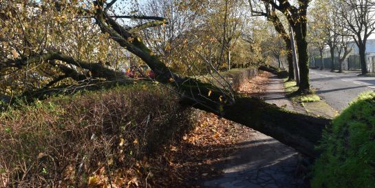 Storm Ophelia Cork City