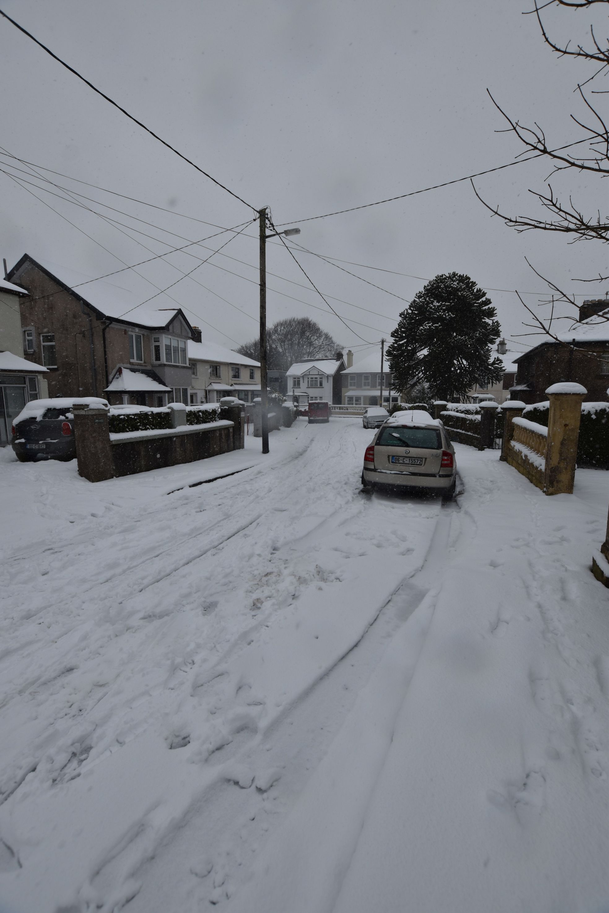 Images of Cork City covered in Snow Beast from the East