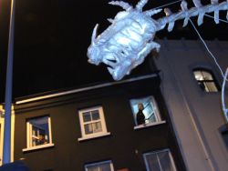 Dragon OF Shandon, Cork City, 2017