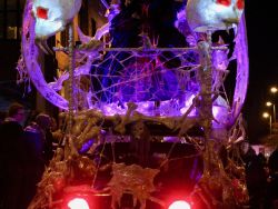 Dragon OF Shandon, Cork City, 2017