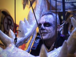 Dragon OF Shandon, Cork City, 2017