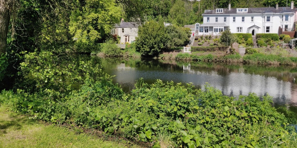 Fitzgerald's Park, Cork City
