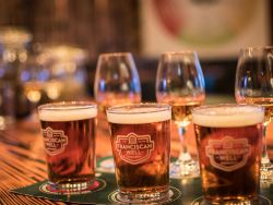 Beer options, Franciscan Well, Cork City