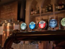 The Beer!, Franciscan Well, Cork City