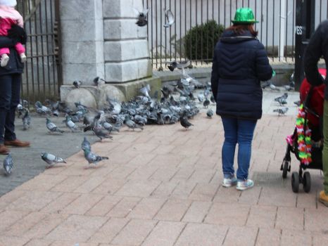 Saint Patrick's Day, Cork City