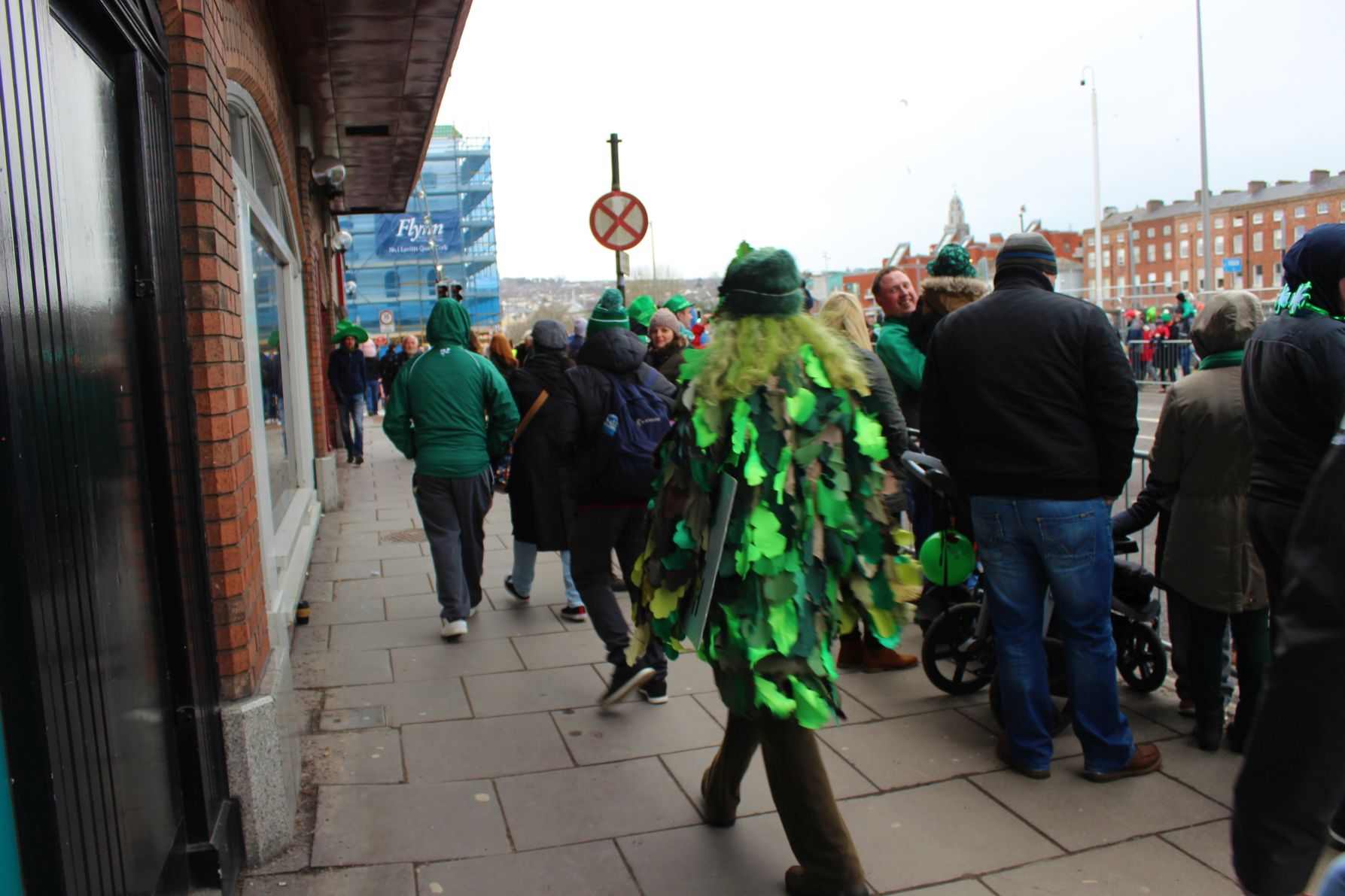 Images of Cork City & Sneem, Co. Kerry, St. Patrick's Day 2018