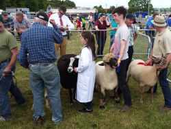 Farm show in Count Cork