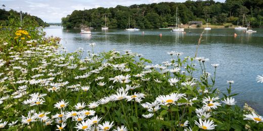 Carrigaline to Crosshaven Greenway