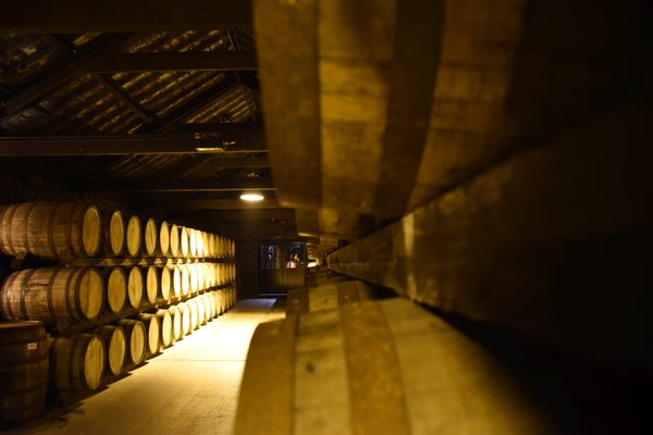 Oak barrels stacked in the maturation warehouse at Midleton Distillery Experience