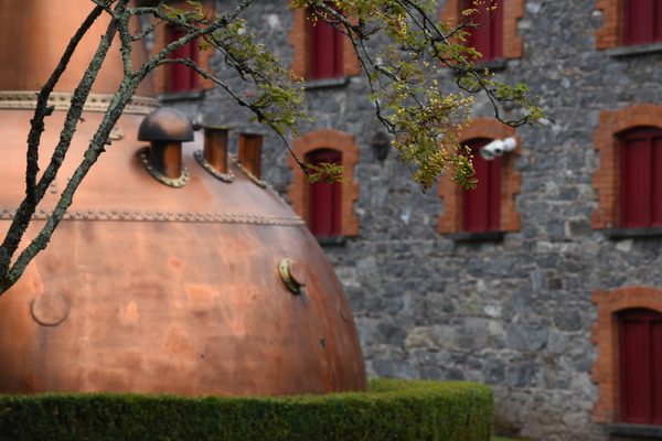 A close-up of the copper pot still