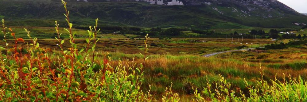 Errigal Mountain in North West Ireland