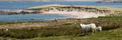 The village of Glenfolk in County Donegal