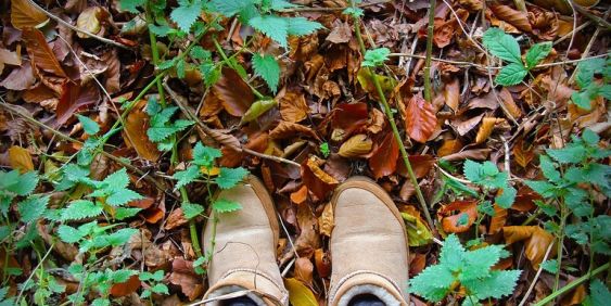 Letterkenny Free Walking Tour, Co. Donegal, Ireland