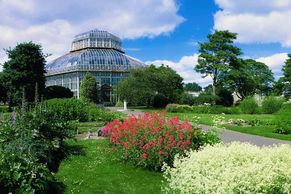 National Botanic Gardens, Dublin