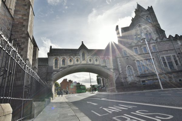 Christ Church Cathedral, Dublin City