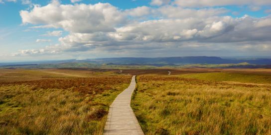 Cuilcagh Boardwalk Trail, County Fermanagh