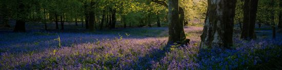 West Ireland Culture