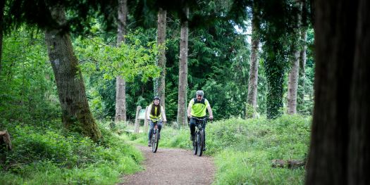 Portumna Forest Park
