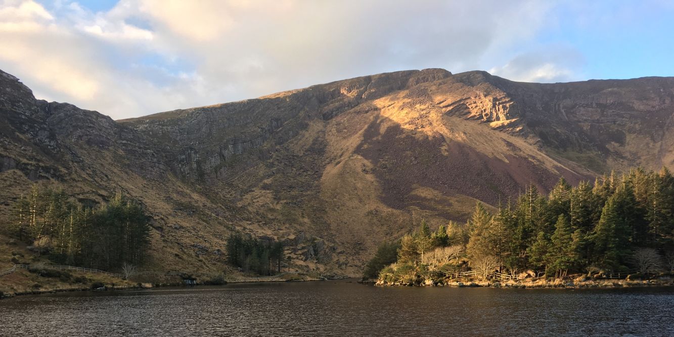 Glanteenassig Forest Park, County Kerry