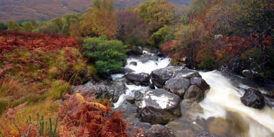 Coomasaharn Lake in County Kerry