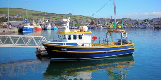 A boat on Kenmare Bay