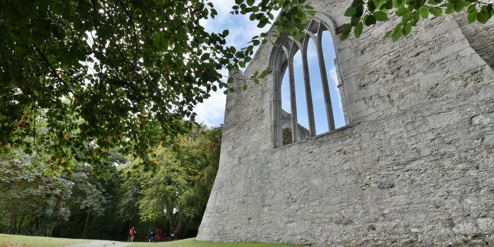 Muckross Abbey, Killarney National Park