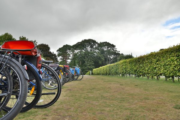Bike parking area in front of Muckross House